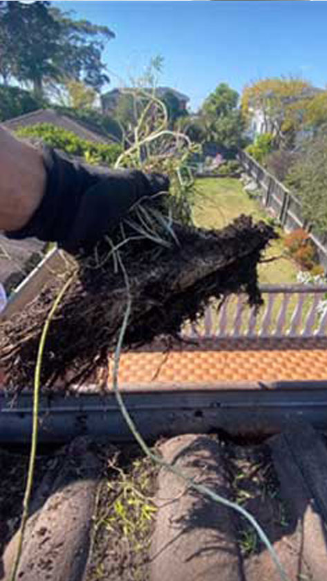gutter clean-dirt-gutters